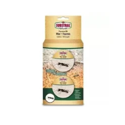 Naturen Mier Lokdoos - Set Van 2 Stuks