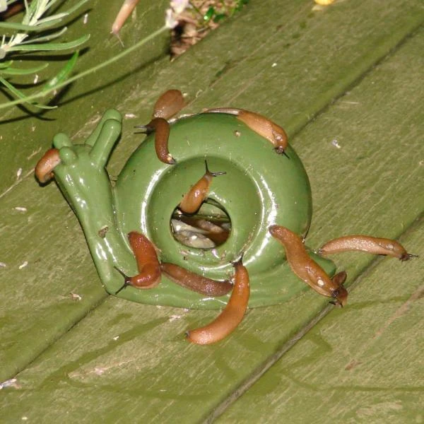 ESSCHERT DESIGN Slakkenval Keramiek - Groen 3 ESSCHERT DESIGN Slakkenval Keramiek - Groen - Afbeelding 3