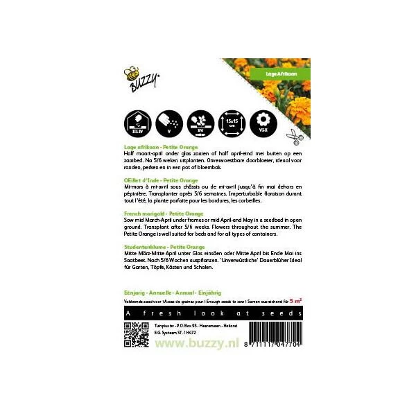 Afrikaan Petite Orange - Tagetes Patula Nana - Afbeelding 2