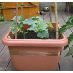 Anti-slakken Kopertape 4 M -Tuin Sfeer Verkoop antislakken kopertape 1484052941 3 600