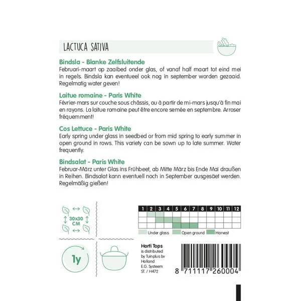 Bindsla Blanke Zelfsluitende - Lactuca Sativa 2 Bindsla Blanke Zelfsluitende - Lactuca Sativa - Afbeelding 2