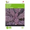Boerenkool Scarlet Paars