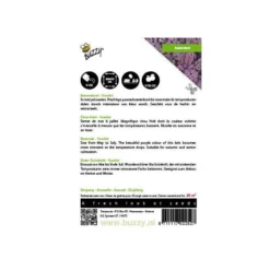 Tuin Sfeer Verkoop -Tuin Sfeer Verkoop boerenkool scarlet paars 1646840382 1509 600