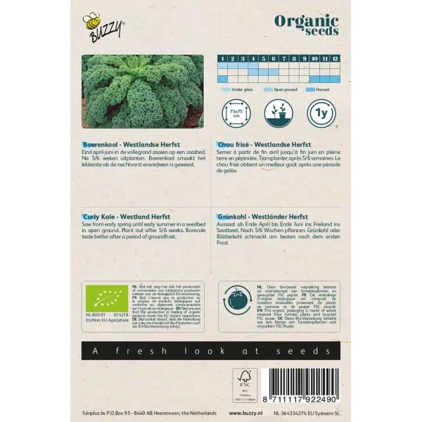 Boerenkool Westlandse BIO 2 Boerenkool Westlandse BIO - Afbeelding 2