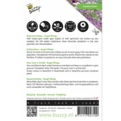 Boerenorchidee Angel Wings - Schizanthus Sinuata Wisetonensis -Tuin Sfeer Verkoop boerenorchidee angel wings schizanthus sinuata wisetonensis 1646840330 432 600