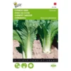 Chinese Kool Zelfsluitende Granaat - Brassica Pekinensis