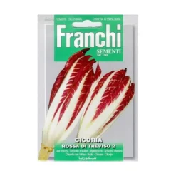 Cicoria Rossa Di Treviso - Roodlof