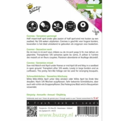 Tuin Sfeer Verkoop -Tuin Sfeer Verkoop cosmos sensation cosmea bipinnatus 1646840326 338 600