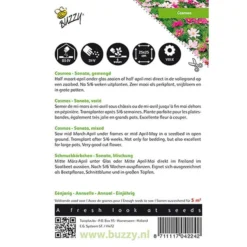 Cosmos Sonate - Cosmos Bipinnatus 3 Cosmos Sonate - Cosmos Bipinnatus -Tuin Sfeer Verkoop cosmos sonate cosmos bipinnatus 1646840326 334 600