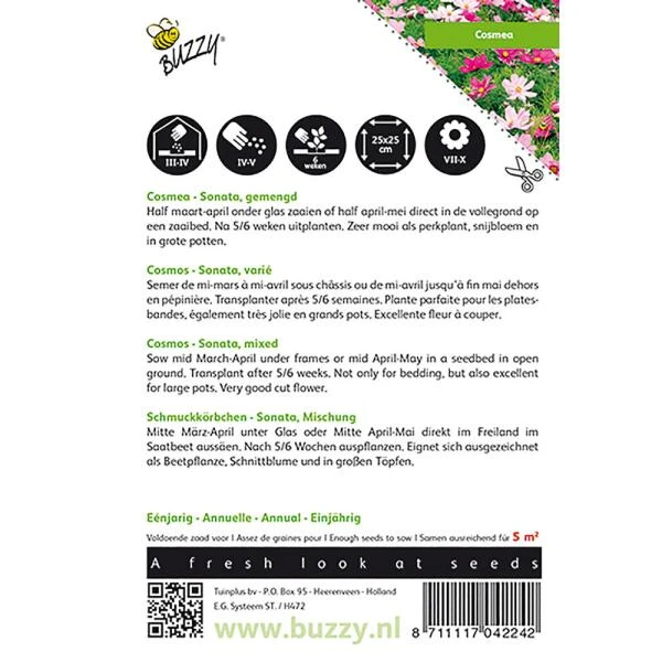 Cosmos Sonate - Cosmos Bipinnatus 2 Cosmos Sonate - Cosmos Bipinnatus - Afbeelding 2