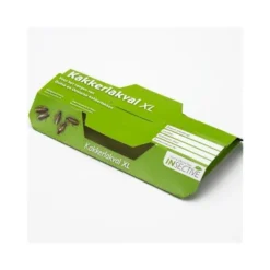 Kakkerlakkenval XL + Lokstof - Set Van 4 Stuks