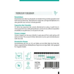 Kanariekers - Tropaeolum Peregrinum 3 Kanariekers - Tropaeolum Peregrinum -Tuin Sfeer Verkoop kanariekers tropaeolum peregrinum 1646840350 829 600