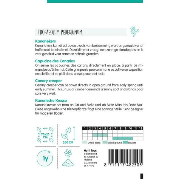 Kanariekers - Tropaeolum Peregrinum 2 Kanariekers - Tropaeolum Peregrinum - Afbeelding 2