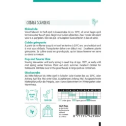 Klokwinde - Cobaea Scandens (klimmer) -Tuin Sfeer Verkoop klokwinde cobaea scandens klimmer 1646840326 330 600