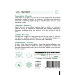 Knolselderie Monarch - Apium Graveolens -Tuin Sfeer Verkoop knolselderie monarch apium graveolens 1646840353 907 600