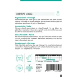 Kogelamarant - Gomphrena Globosa -Tuin Sfeer Verkoop kogelamarant gomphrena globosa 1646840362 1095 600