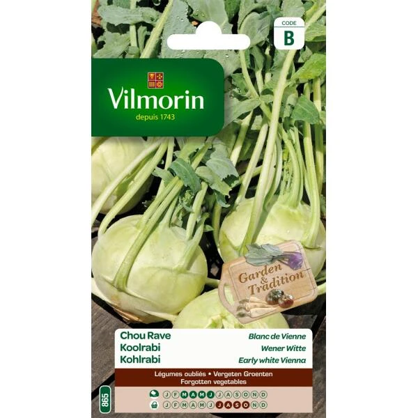 Koolrabi Wener Witte 1 Koolrabi Wener Witte