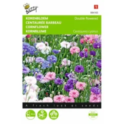 Korenbloem Mix - Centaurea Cyanus
