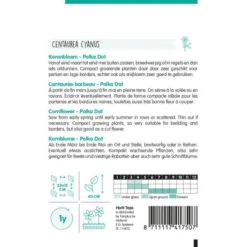 Korenbloem Polka Dot Gemengd - Centaurea Cyanus 3 Korenbloem Polka Dot Gemengd - Centaurea Cyanus -Tuin Sfeer Verkoop korenbloem polka dot gemengd centaurea cyanus 1646840360 1059 600