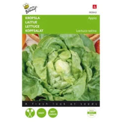 Kropsla Appia - Lactuca Sativa