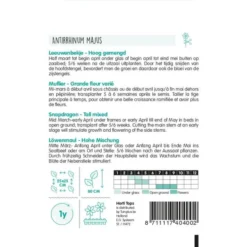 Leeuwenbekje - Antirrhinum Majus Maximum -Tuin Sfeer Verkoop leeuwenbekje antirrhinum majus maximum 1646840358 1021 600