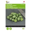 Muismeloen, Cucamelon - Melothria Scabra