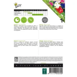 Petunia - Petunia Nana Compacta -Tuin Sfeer Verkoop petunia petunia nana compacta 1646840330 420 600