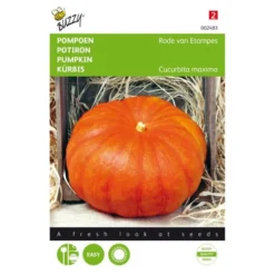 Pompoen Rode Van Etampes - Cucurbita Pepo