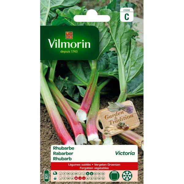 Rabarber Victoria 1 Rabarber Victoria