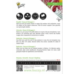 Roodlof Palla Rossa Cichorium Endivia -Tuin Sfeer Verkoop roodlof palla rossa cichorium endivia 1646840315 88 600