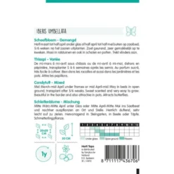 Tuin Sfeer Verkoop -Tuin Sfeer Verkoop scheefbloem mix iberis umbellata 1646840362 1099 600