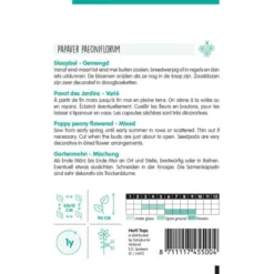 Slaapbol Roze/rood - Papaver Somniferum -Tuin Sfeer Verkoop slaapbol rozerood papaver somniferum 1646840363 1127 600