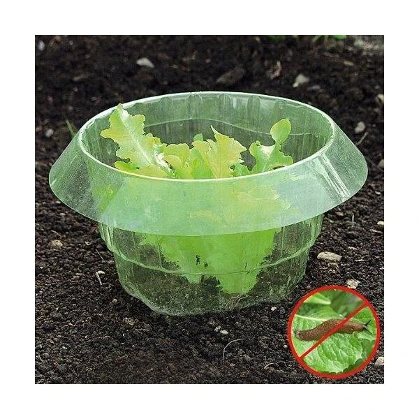 Slakken Beschermringen - Set Van 6 Stuks 1 Slakken Beschermringen - Set Van 6 Stuks