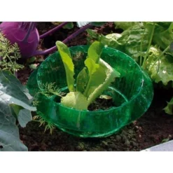 Slakken Beschermringen - Set Van 6 Stuks 5 Slakken Beschermringen - Set Van 6 Stuks -Tuin Sfeer Verkoop slakken beschermingsringen 1484053655 3 600