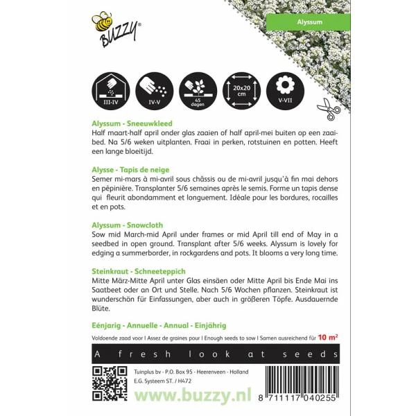Sneeuwtapijt - Alyssum Marit. Procumbens 2 Sneeuwtapijt - Alyssum Marit. Procumbens - Afbeelding 2