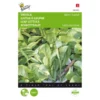 Snijsla Witte Dunsel - Lactuca Sativa