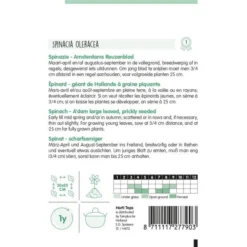 Spinazie Adams Reuzenblad - Spinacia Oleracea 3 Spinazie Adams Reuzenblad - Spinacia Oleracea -Tuin Sfeer Verkoop spinazie adams reuzenblad spinacia oleracea 1646840355 949 600