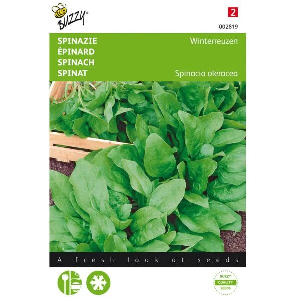 Spinazie Winterreuzen 15 G - Spinacia Oleracea 1 Spinazie Winterreuzen 15 G - Spinacia Oleracea