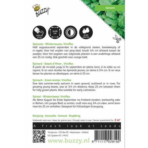 Spinazie Winterreuzen 15 G - Spinacia Oleracea 2 Spinazie Winterreuzen 15 G - Spinacia Oleracea - Afbeelding 2