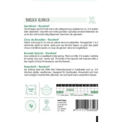 Spruitkool Roodnerf - Brassica Oleracea -Tuin Sfeer Verkoop spruitkool roodnerf brassica oleracea 1646840350 835 600