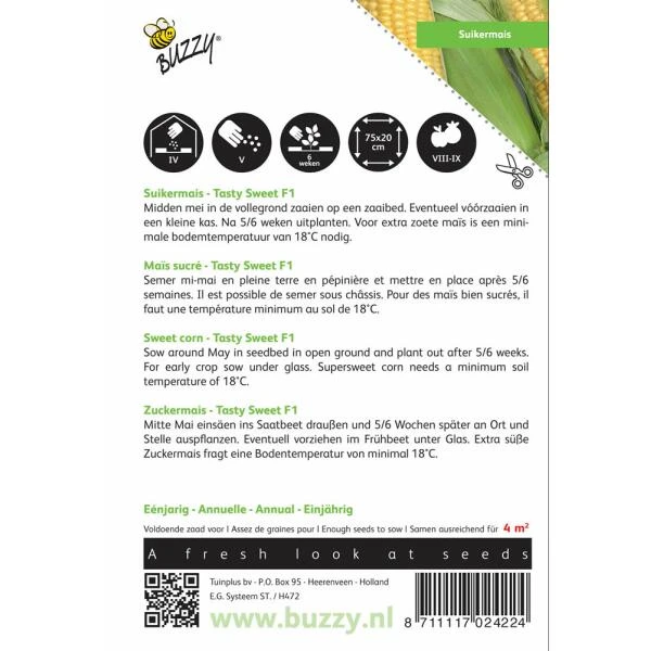 Suikermaïs Tasty Sweet F1 - Zea Mays 2 Suikermaïs Tasty Sweet F1 - Zea Mays - Afbeelding 2