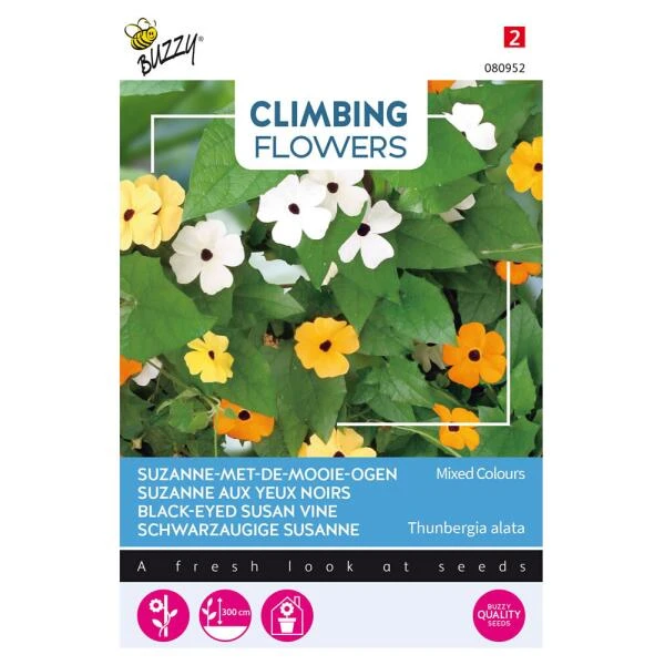 Suzanne Met De Mooie Ogen - Thunbergia Alata (klimmer) 1 Suzanne Met De Mooie Ogen - Thunbergia Alata (klimmer)