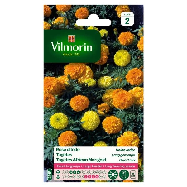Tagetes Dwerg Gemengd 1 Tagetes Dwerg Gemengd