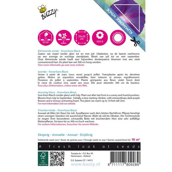 Winde Knowlians Black -Ipomoea Purpurea (Klimmer) 2 Winde Knowlians Black -Ipomoea Purpurea (Klimmer) - Afbeelding 2