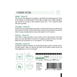 Witlof Zoom F1 - Cichorium Intybus -Tuin Sfeer Verkoop witlof zoom f1 cichorium intybus 1646840315 84 600