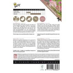 Zomerbloemen Pretty Pink 3 Zomerbloemen Pretty Pink -Tuin Sfeer Verkoop zomerbloemen pretty pink 1646840392 1687 600