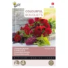 Zomerbloemen Vintage Red