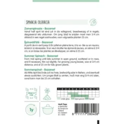 Tuin Sfeer Verkoop -Tuin Sfeer Verkoop zomerspinazie bazaroet 1646840355 953 600