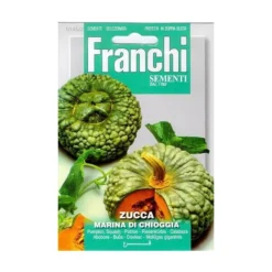 Zucca Marina Di Chioggia - Pompoen /squash Groen